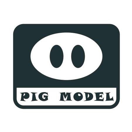 PIG Model