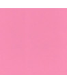 Mission - Pink Primer - 1oz Acrylic - S005