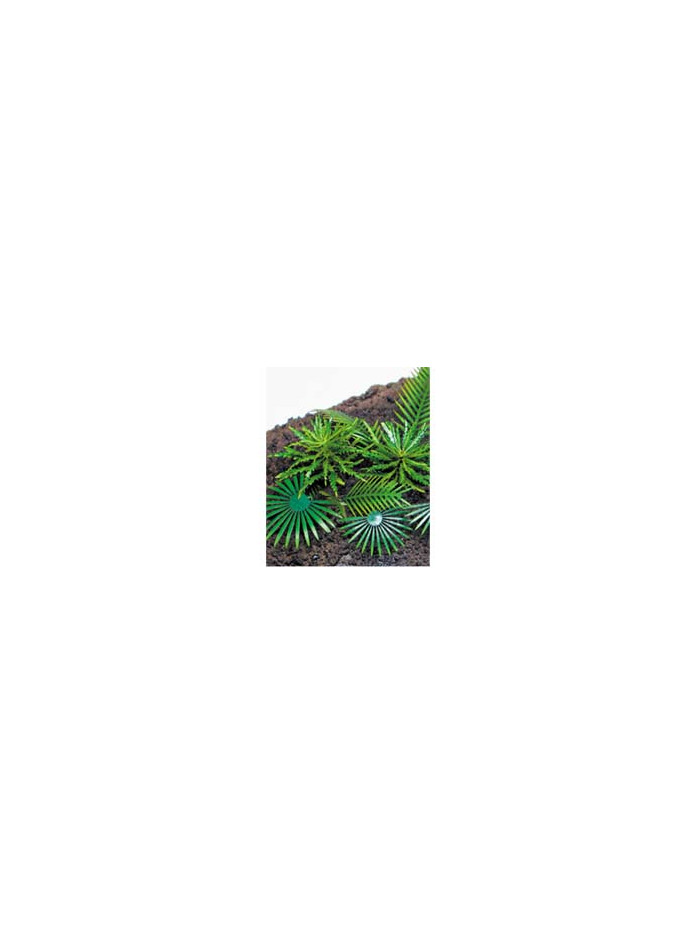 J's Works - Tropical Jungle 2 - PPA1016