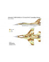 J's Works - Airbrush CAMO-MASK for 1/72 Israel F16C Camouflage Scheme - PPA5038