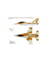 J's Works - Airbrush CAMO-MASK for 1/48 IDF F-16A Camouflage Scheme - PPA5003