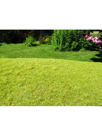 Modelscene - Cut Meadow -...