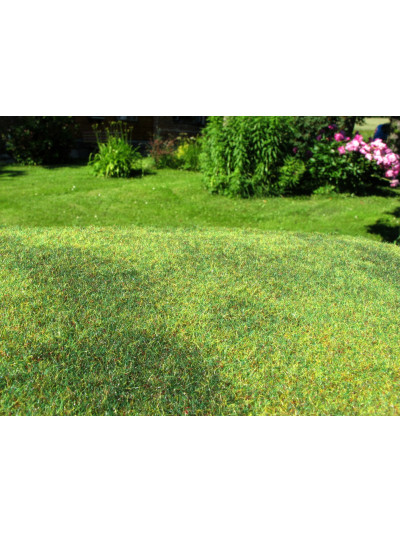 Modelscene - Cut Meadow -...