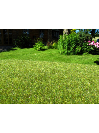 Modelscene - Wetland middle...