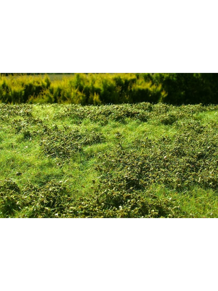 Modelscene - Low bushes - Spring - F501
