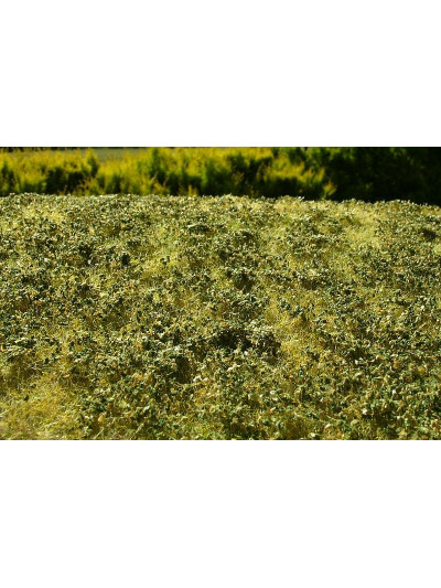 Modelscene - Low bushes -...