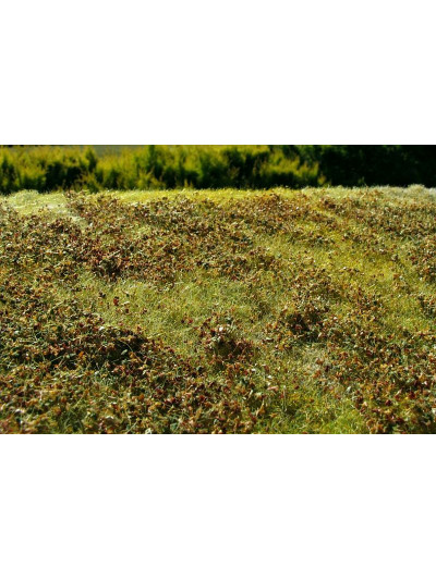 Modelscene - Low bushes -...