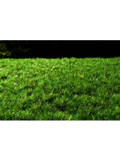 Modelscene - Turfs Dark - F515