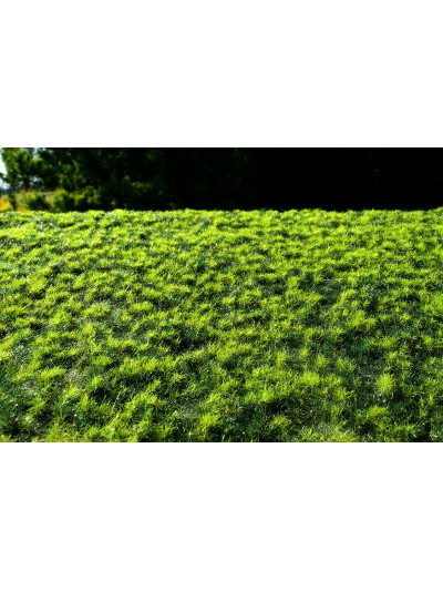 Modelscene - Small Turfs -...