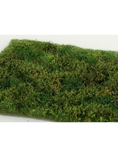 Modelscene - Wild area with...