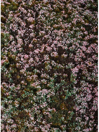 Modelscene - Heathland...