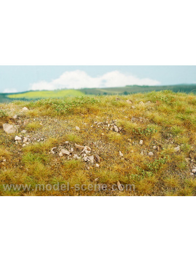 Modelscene - Late summer,...