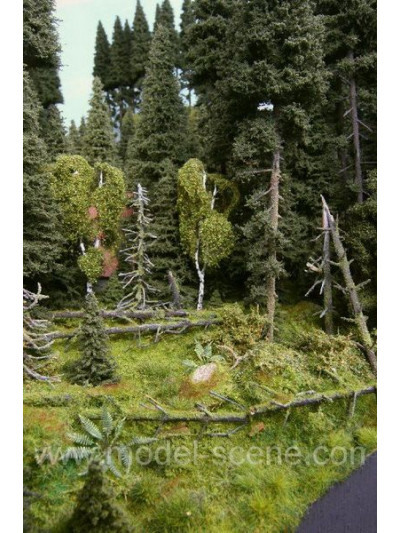 Modelscene - Forest spring...