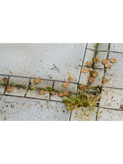 Modelscene - Lime Leaves -...