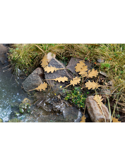 Modelscene - Oak Leaves -...
