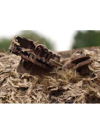 Modelscene - Oak Leaves -...