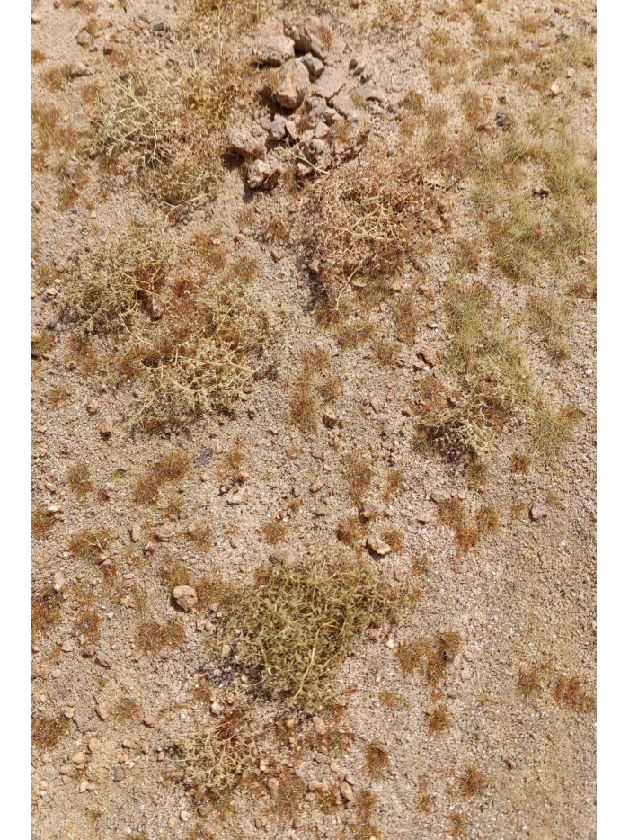 Modelscene - Middle East Rocky Desert - F320