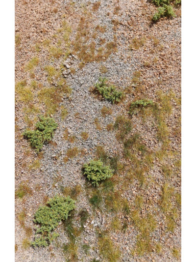 Modelscene - Afghanistan...