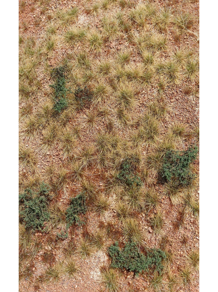 Modelscene - San Pedro Desert - F340