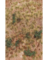 Modelscene - San Pedro Desert - F340