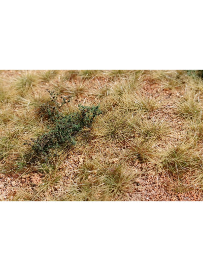 Modelscene - San Pedro Desert - F340
