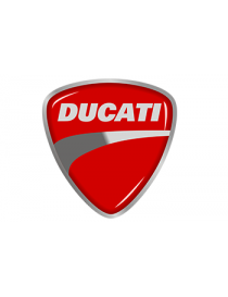 ZP - Ducati Color Matched...