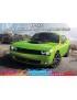 ZP - Dodge Sublime (Pearl Green) Paint 60ml  - 1271