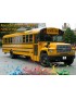 ZP - American School Bus Yellow Paint 60ml  - 1399
