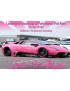 ZP - Lamborghini Murcielago LB Performance Pink Pearl 2x30ml  - 1412