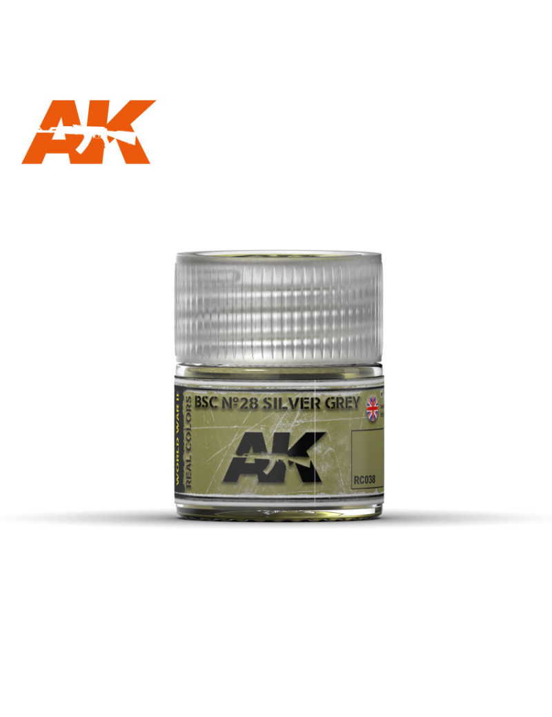 AK - Real Color BSC Nº28 Silver Grey - RC038